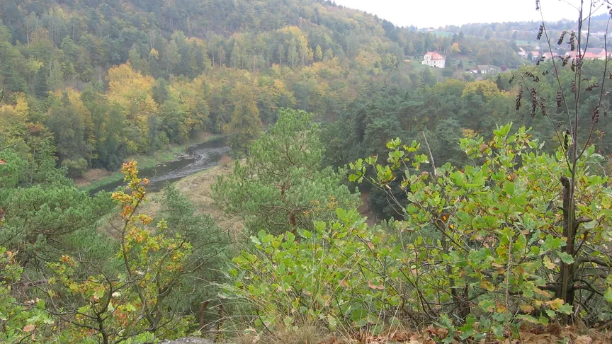 Tajemný les kousek od Plzně je oblíbenou turistickou atrakcí.