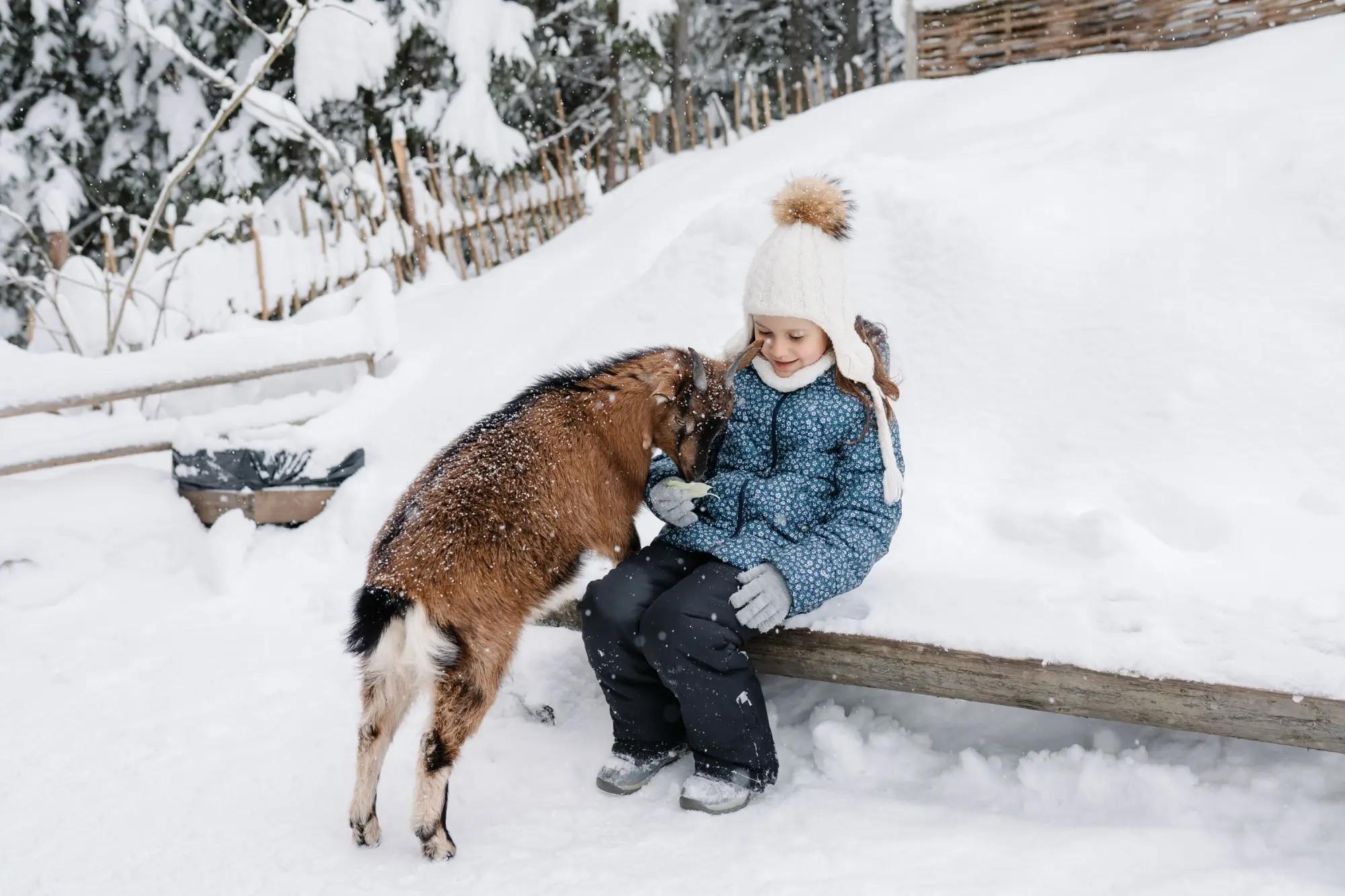 Dítě si v zimě hraje se zvířaty v zoo