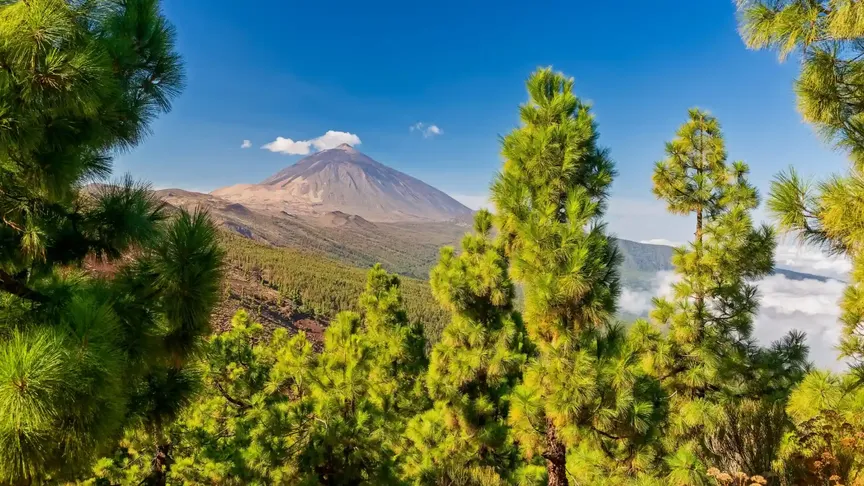 Pohled na horu Pico del Teide