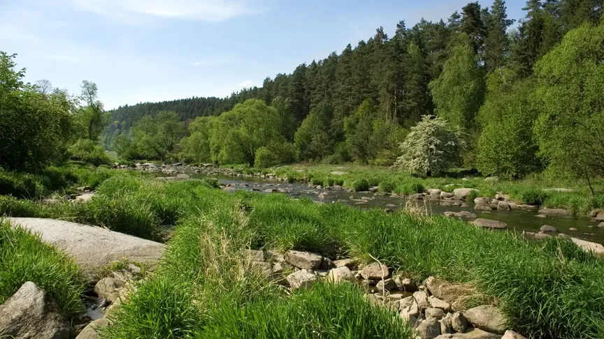Stvořidla