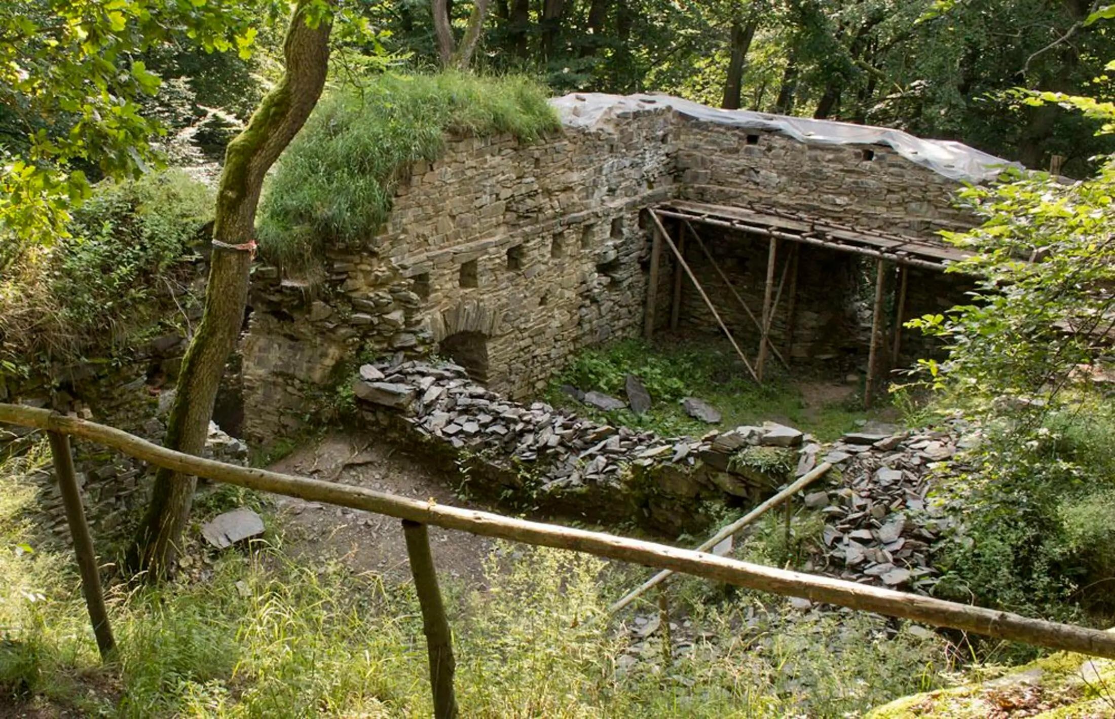 Vnitřek zříceniny hradu Jenčov. Vidět jde také zeleň okolí.
