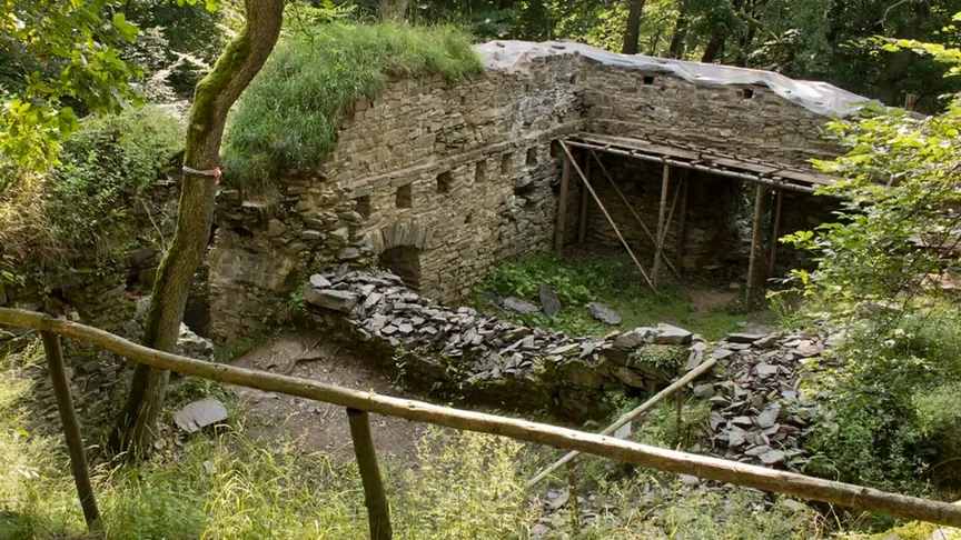Vnitřek zříceniny hradu Jenčov. Vidět jde také zeleň okolí.