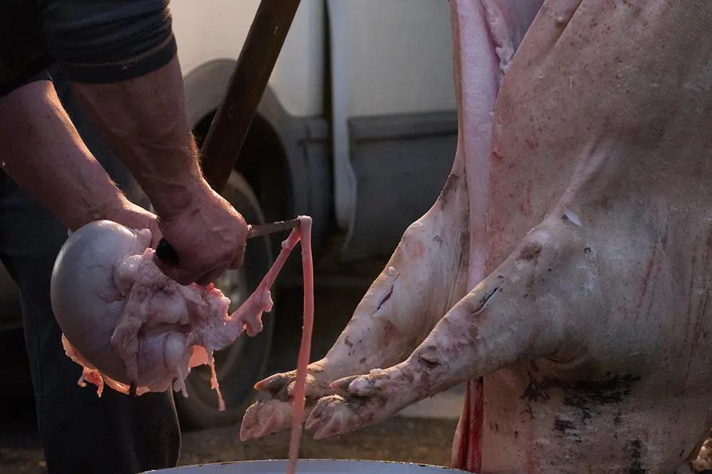 řezník při zabijačce