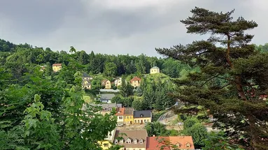 Pohle na město Jáchymov obklopené stromy. V pozadí se nachází kaple sv. Jana Nepomuckého