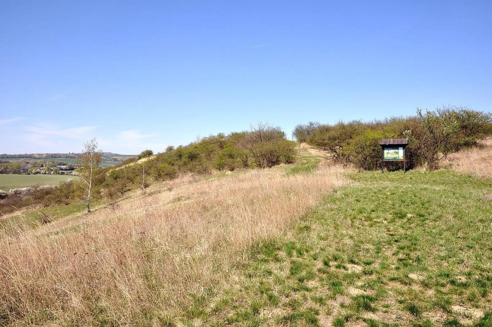 Přírodní památka Kienberg 