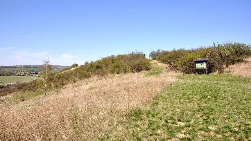 Přírodní památka Kienberg