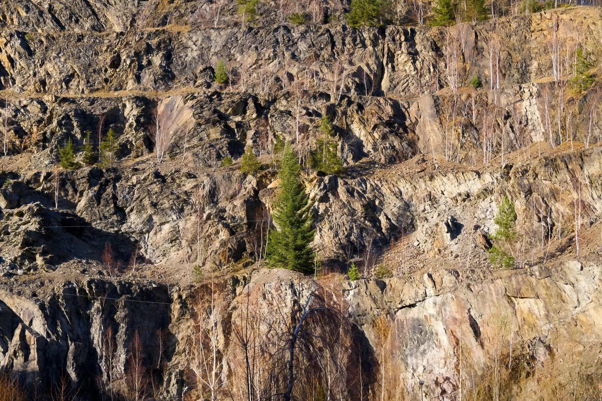 Tento svah ve Zlatých horách je zlata plný