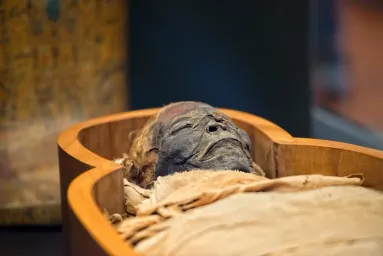 egyptská mumie
