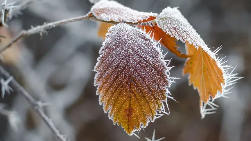 Po příjemném babím létu přichází teplotní zvrat.
