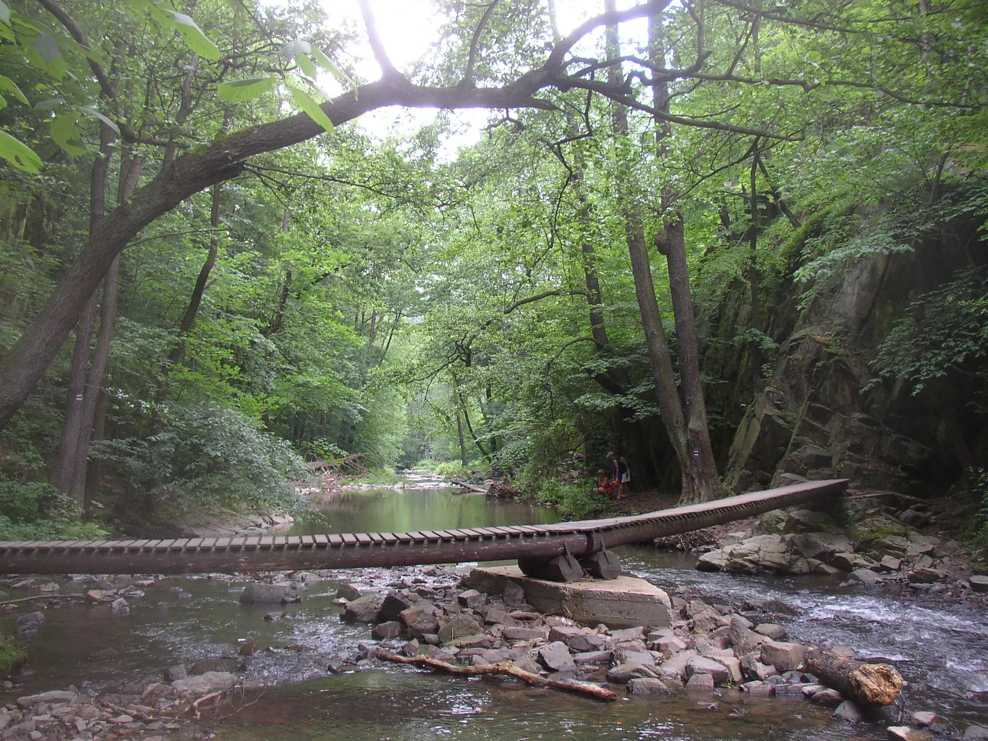Skryjská jezírka se nachází v krásném prostředí